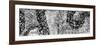 ¡Viva Mexico! Panoramic Collection - Earth from above VI-Philippe Hugonnard-Framed Photographic Print