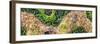 ¡Viva Mexico! Panoramic Collection - Earth from above-Philippe Hugonnard-Framed Photographic Print