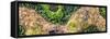 ¡Viva Mexico! Panoramic Collection - Earth from above-Philippe Hugonnard-Framed Stretched Canvas