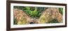 ¡Viva Mexico! Panoramic Collection - Earth from above-Philippe Hugonnard-Framed Photographic Print