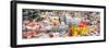 ¡Viva Mexico! Panoramic Collection - Guanajuato Colorful Cityscape-Philippe Hugonnard-Framed Photographic Print