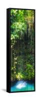 ¡Viva Mexico! Panoramic Collection - Hanging Roots of Ik-Kil Cenote II-Philippe Hugonnard-Framed Stretched Canvas