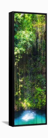 ¡Viva Mexico! Panoramic Collection - Hanging Roots of Ik-Kil Cenote II-Philippe Hugonnard-Framed Stretched Canvas