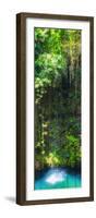 ¡Viva Mexico! Panoramic Collection - Hanging Roots of Ik-Kil Cenote II-Philippe Hugonnard-Framed Photographic Print