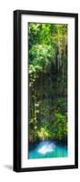 ¡Viva Mexico! Panoramic Collection - Hanging Roots of Ik-Kil Cenote II-Philippe Hugonnard-Framed Photographic Print