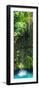 ¡Viva Mexico! Panoramic Collection - Hanging Roots of Ik-Kil Cenote II-Philippe Hugonnard-Framed Photographic Print