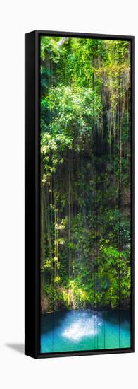 ¡Viva Mexico! Panoramic Collection - Hanging Roots of Ik-Kil Cenote II-Philippe Hugonnard-Framed Stretched Canvas