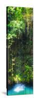 ¡Viva Mexico! Panoramic Collection - Hanging Roots of Ik-Kil Cenote II-Philippe Hugonnard-Stretched Canvas