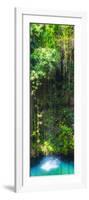 ¡Viva Mexico! Panoramic Collection - Hanging Roots of Ik-Kil Cenote II-Philippe Hugonnard-Framed Photographic Print