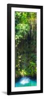 ¡Viva Mexico! Panoramic Collection - Hanging Roots of Ik-Kil Cenote II-Philippe Hugonnard-Framed Photographic Print