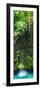 ¡Viva Mexico! Panoramic Collection - Hanging Roots of Ik-Kil Cenote II-Philippe Hugonnard-Framed Photographic Print