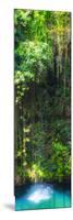 ¡Viva Mexico! Panoramic Collection - Hanging Roots of Ik-Kil Cenote II-Philippe Hugonnard-Mounted Photographic Print