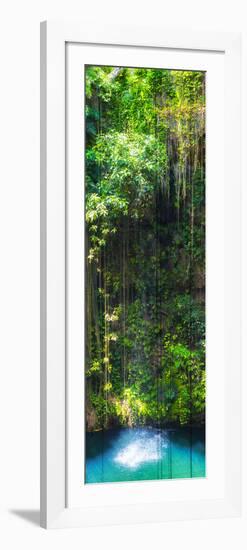 ¡Viva Mexico! Panoramic Collection - Hanging Roots of Ik-Kil Cenote II-Philippe Hugonnard-Framed Photographic Print