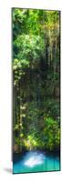 ¡Viva Mexico! Panoramic Collection - Hanging Roots of Ik-Kil Cenote II-Philippe Hugonnard-Mounted Photographic Print