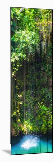 ¡Viva Mexico! Panoramic Collection - Hanging Roots of Ik-Kil Cenote II-Philippe Hugonnard-Mounted Photographic Print