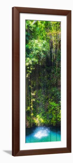 ¡Viva Mexico! Panoramic Collection - Hanging Roots of Ik-Kil Cenote II-Philippe Hugonnard-Framed Photographic Print