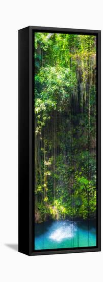 ¡Viva Mexico! Panoramic Collection - Hanging Roots of Ik-Kil Cenote II-Philippe Hugonnard-Framed Stretched Canvas