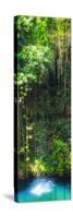 ¡Viva Mexico! Panoramic Collection - Hanging Roots of Ik-Kil Cenote II-Philippe Hugonnard-Stretched Canvas