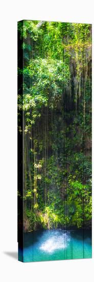 ¡Viva Mexico! Panoramic Collection - Hanging Roots of Ik-Kil Cenote II-Philippe Hugonnard-Stretched Canvas