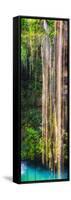 ¡Viva Mexico! Panoramic Collection - Hanging Roots of Ik-Kil Cenote III-Philippe Hugonnard-Framed Stretched Canvas