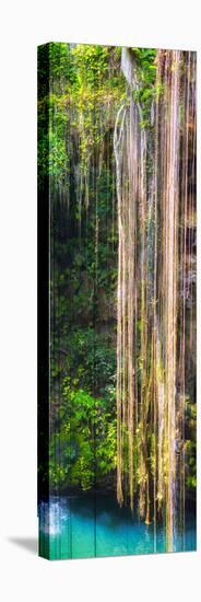 ¡Viva Mexico! Panoramic Collection - Hanging Roots of Ik-Kil Cenote III-Philippe Hugonnard-Stretched Canvas