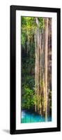 ¡Viva Mexico! Panoramic Collection - Hanging Roots of Ik-Kil Cenote III-Philippe Hugonnard-Framed Photographic Print