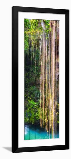 ¡Viva Mexico! Panoramic Collection - Hanging Roots of Ik-Kil Cenote III-Philippe Hugonnard-Framed Photographic Print