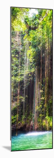 ¡Viva Mexico! Panoramic Collection - Hanging Roots of Ik-Kil Cenote IV-Philippe Hugonnard-Mounted Photographic Print