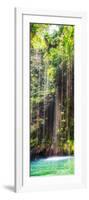 ¡Viva Mexico! Panoramic Collection - Hanging Roots of Ik-Kil Cenote IV-Philippe Hugonnard-Framed Photographic Print