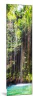 ¡Viva Mexico! Panoramic Collection - Hanging Roots of Ik-Kil Cenote IV-Philippe Hugonnard-Mounted Photographic Print