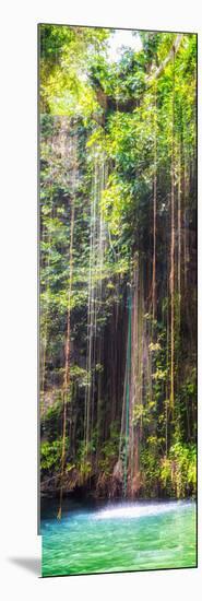 ¡Viva Mexico! Panoramic Collection - Hanging Roots of Ik-Kil Cenote IV-Philippe Hugonnard-Mounted Photographic Print