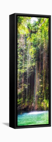 ¡Viva Mexico! Panoramic Collection - Hanging Roots of Ik-Kil Cenote IV-Philippe Hugonnard-Framed Stretched Canvas