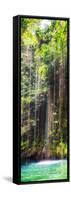 ¡Viva Mexico! Panoramic Collection - Hanging Roots of Ik-Kil Cenote IV-Philippe Hugonnard-Framed Stretched Canvas