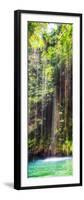 ¡Viva Mexico! Panoramic Collection - Hanging Roots of Ik-Kil Cenote IV-Philippe Hugonnard-Framed Photographic Print