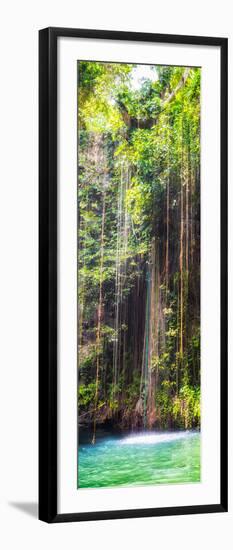 ¡Viva Mexico! Panoramic Collection - Hanging Roots of Ik-Kil Cenote IV-Philippe Hugonnard-Framed Photographic Print