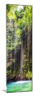 ¡Viva Mexico! Panoramic Collection - Hanging Roots of Ik-Kil Cenote IV-Philippe Hugonnard-Mounted Photographic Print