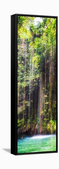 ¡Viva Mexico! Panoramic Collection - Hanging Roots of Ik-Kil Cenote IV-Philippe Hugonnard-Framed Stretched Canvas