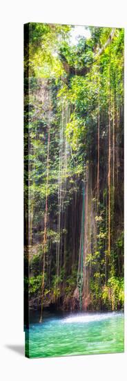 ¡Viva Mexico! Panoramic Collection - Hanging Roots of Ik-Kil Cenote IV-Philippe Hugonnard-Stretched Canvas