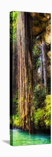 ¡Viva Mexico! Panoramic Collection - Hanging Roots of Ik-Kil Cenote V-Philippe Hugonnard-Stretched Canvas