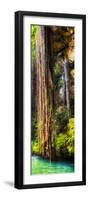 ¡Viva Mexico! Panoramic Collection - Hanging Roots of Ik-Kil Cenote V-Philippe Hugonnard-Framed Photographic Print