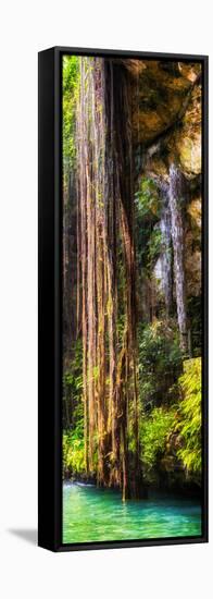 ¡Viva Mexico! Panoramic Collection - Hanging Roots of Ik-Kil Cenote V-Philippe Hugonnard-Framed Stretched Canvas