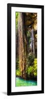 ¡Viva Mexico! Panoramic Collection - Hanging Roots of Ik-Kil Cenote V-Philippe Hugonnard-Framed Photographic Print