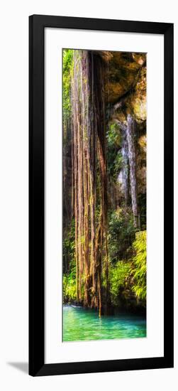 ¡Viva Mexico! Panoramic Collection - Hanging Roots of Ik-Kil Cenote V-Philippe Hugonnard-Framed Photographic Print