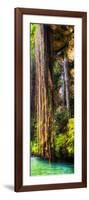 ¡Viva Mexico! Panoramic Collection - Hanging Roots of Ik-Kil Cenote V-Philippe Hugonnard-Framed Photographic Print
