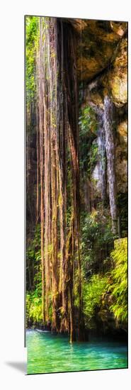 ¡Viva Mexico! Panoramic Collection - Hanging Roots of Ik-Kil Cenote V-Philippe Hugonnard-Mounted Photographic Print