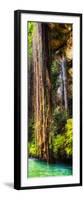 ¡Viva Mexico! Panoramic Collection - Hanging Roots of Ik-Kil Cenote V-Philippe Hugonnard-Framed Photographic Print