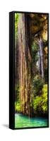 ¡Viva Mexico! Panoramic Collection - Hanging Roots of Ik-Kil Cenote V-Philippe Hugonnard-Framed Stretched Canvas