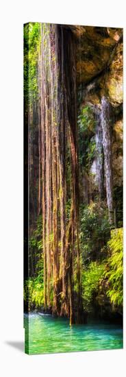 ¡Viva Mexico! Panoramic Collection - Hanging Roots of Ik-Kil Cenote V-Philippe Hugonnard-Stretched Canvas