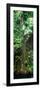 ¡Viva Mexico! Panoramic Collection - Hanging Roots of Ik-Kil Cenote VI-Philippe Hugonnard-Framed Photographic Print