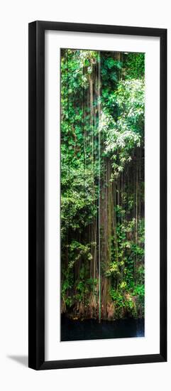 ¡Viva Mexico! Panoramic Collection - Hanging Roots of Ik-Kil Cenote VI-Philippe Hugonnard-Framed Photographic Print